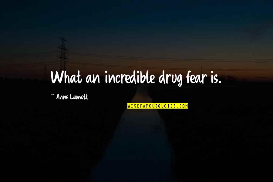 Scarlet Pimpernel Quotes By Anne Lamott: What an incredible drug fear is.