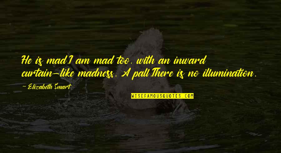 Scarlet Quote Quotes By Elizabeth Smart: He is mad.I am mad too, with an