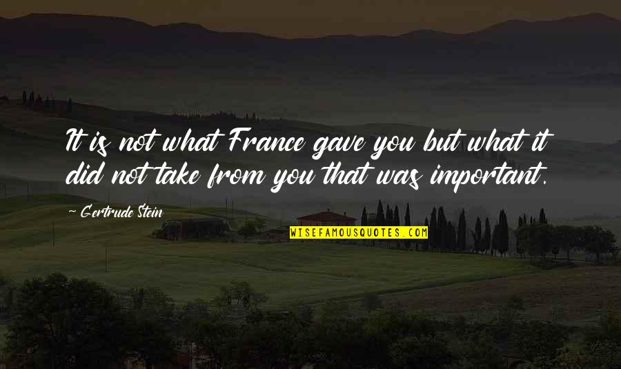 Scarozza Jennifer Quotes By Gertrude Stein: It is not what France gave you but Scarozza Jennifer Quotes By Gertrude Stein: It is not what France gave you but