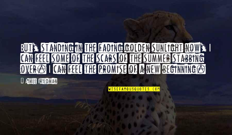 Scars Fading Quotes By Aimee Friedman: But, standing in the fading golden sunlight now,