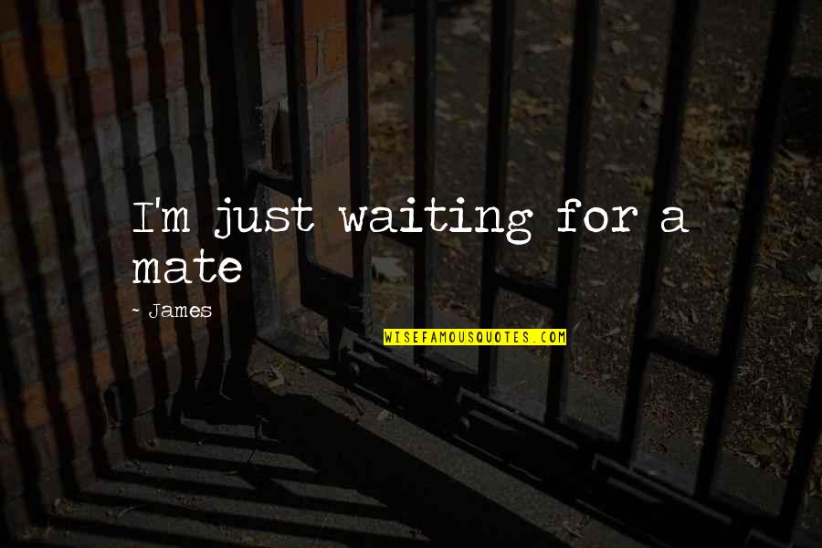 Scary Purge Quotes By James: I'm just waiting for a mate