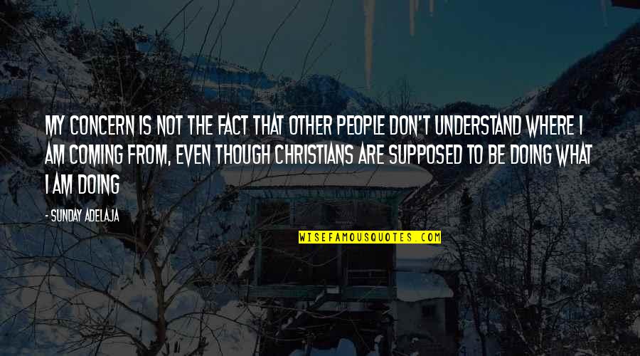 Scary Right Wing Quotes By Sunday Adelaja: My concern is not the fact that other