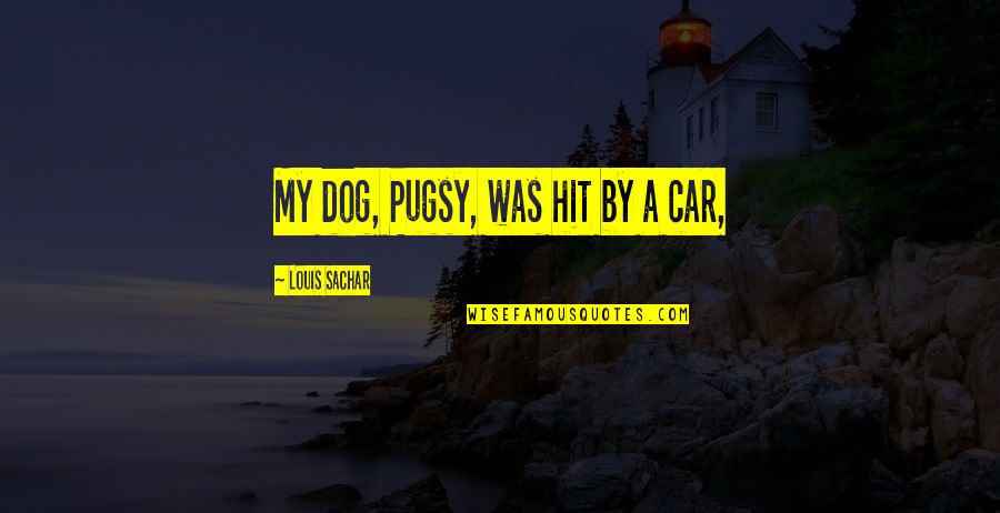 Scary Yearbook Quotes By Louis Sachar: My dog, Pugsy, was hit by a car, Scary Yearbook Quotes By Louis Sachar: My dog, Pugsy, was hit by a car,
