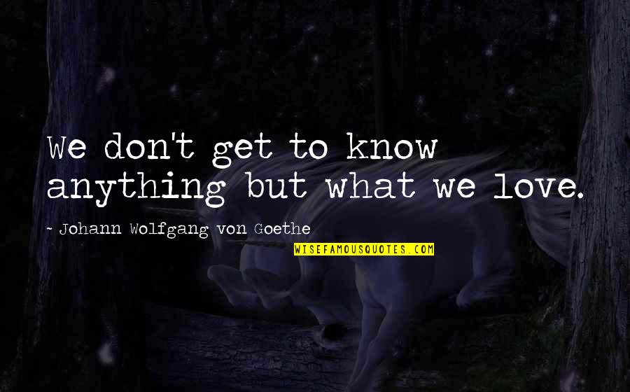 Scas Quotes By Johann Wolfgang Von Goethe: We don't get to know anything but what