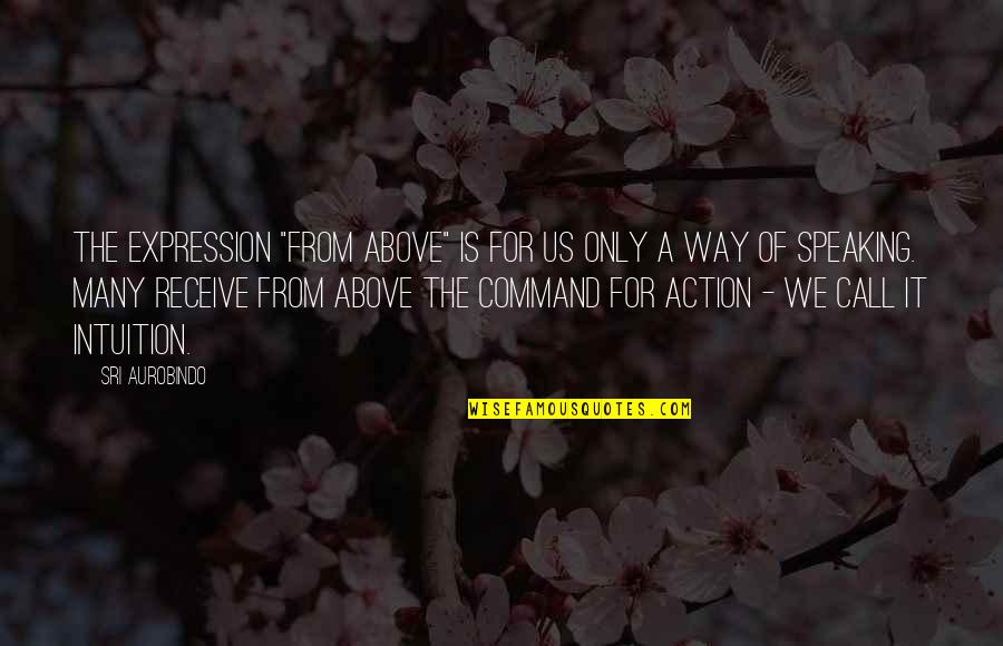 Scavazzos Deer Quotes By Sri Aurobindo: The expression "from above" is for us only Scavazzos Deer Quotes By Sri Aurobindo: The expression "from above" is for us only