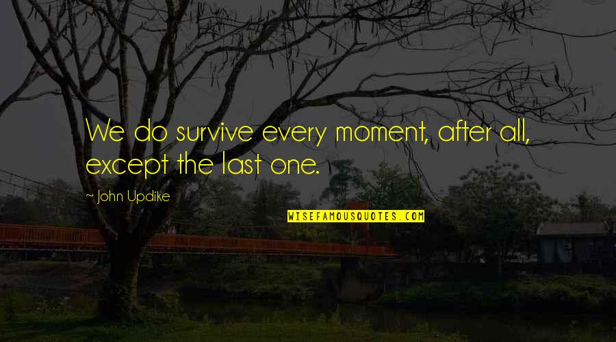 Scellotr Quotes By John Updike: We do survive every moment, after all, except