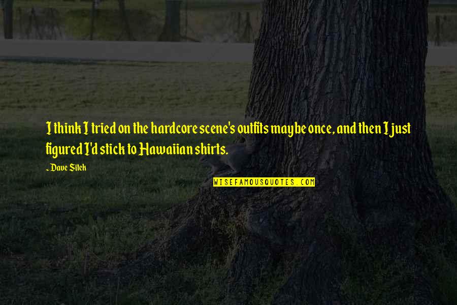 Scene Quotes By Dave Sitek: I think I tried on the hardcore scene's Scene Quotes By Dave Sitek: I think I tried on the hardcore scene's