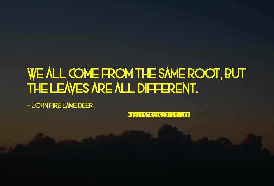 Scene Sayings And Quotes By John Fire Lame Deer: We all come from the same root, but Scene Sayings And Quotes By John Fire Lame Deer: We all come from the same root, but