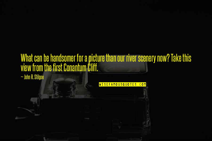 Scenery's Quotes By John R. Stilgoe: What can be handsomer for a picture than Scenery's Quotes By John R. Stilgoe: What can be handsomer for a picture than