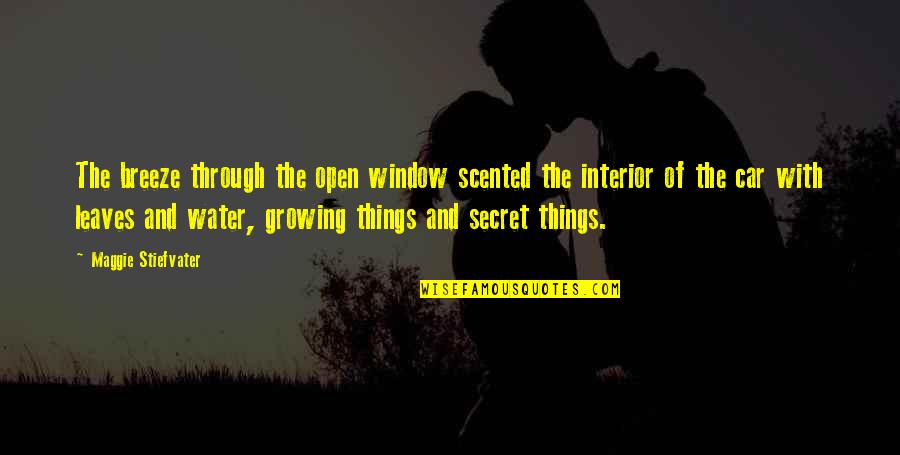 Scented Quotes By Maggie Stiefvater: The breeze through the open window scented the