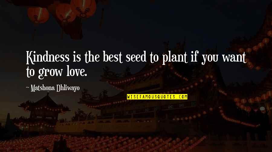 Scenting Games Quotes By Matshona Dhliwayo: Kindness is the best seed to plant if Scenting Games Quotes By Matshona Dhliwayo: Kindness is the best seed to plant if