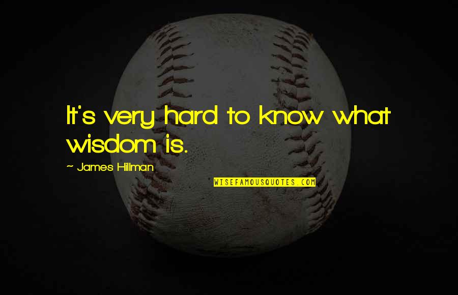 Sceptically Quotes By James Hillman: It's very hard to know what wisdom is.