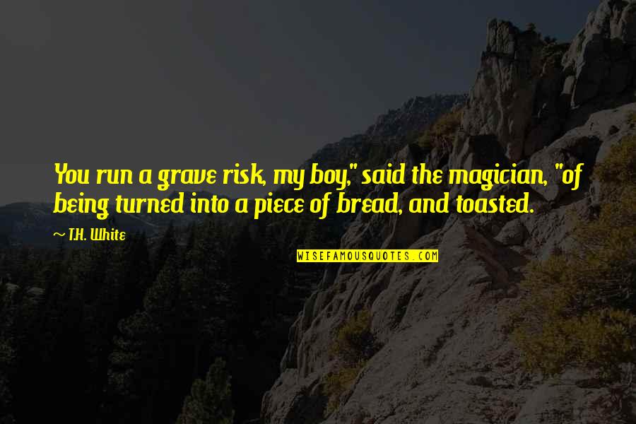 Scerri App Quotes By T.H. White: You run a grave risk, my boy," said