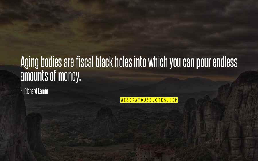 Schaakbord Lego Quotes By Richard Lamm: Aging bodies are fiscal black holes into which Schaakbord Lego Quotes By Richard Lamm: Aging bodies are fiscal black holes into which