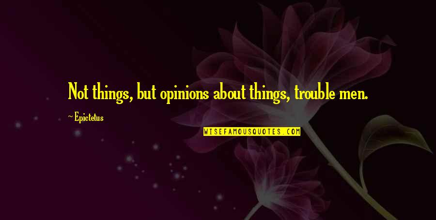 Schaarschmidt Chiropractic Quotes By Epictetus: Not things, but opinions about things, trouble men.