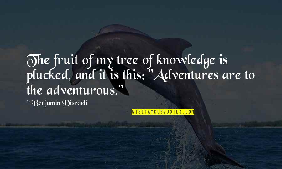 Schabarum Quotes By Benjamin Disraeli: The fruit of my tree of knowledge is Schabarum Quotes By Benjamin Disraeli: The fruit of my tree of knowledge is