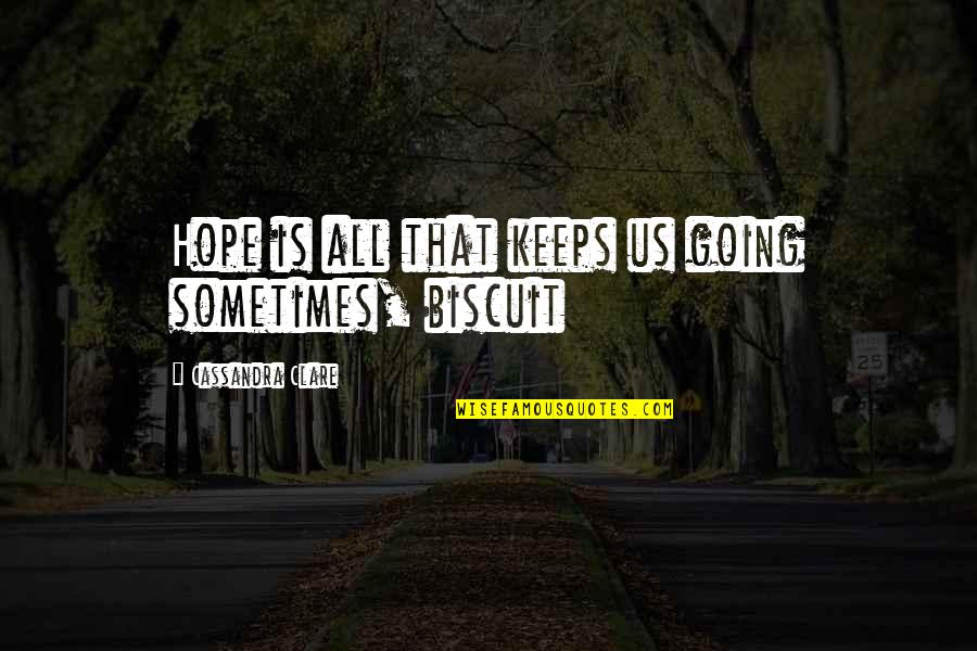Schabes Roofing Quotes By Cassandra Clare: Hope is all that keeps us going sometimes,