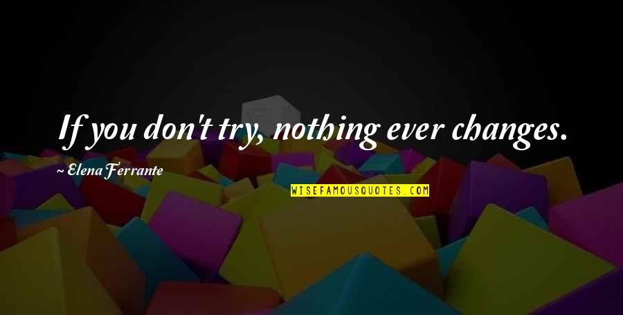 Schabes Roofing Quotes By Elena Ferrante: If you don't try, nothing ever changes.