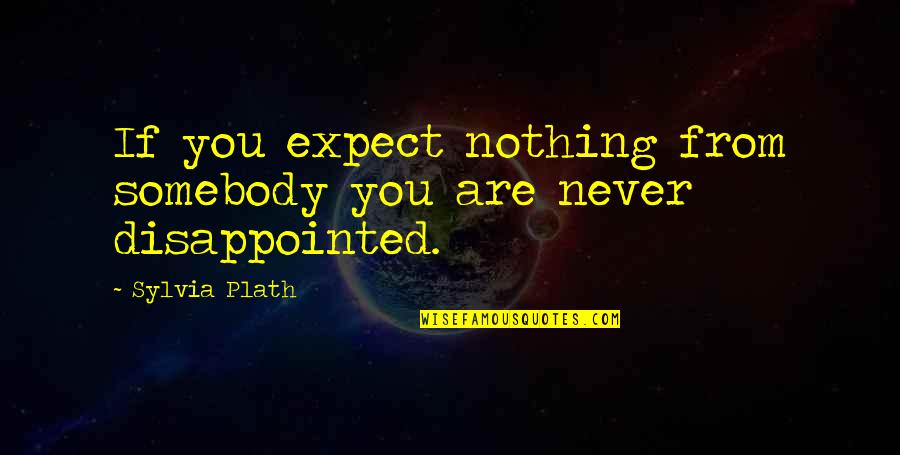 Schadelijk Op Quotes By Sylvia Plath: If you expect nothing from somebody you are