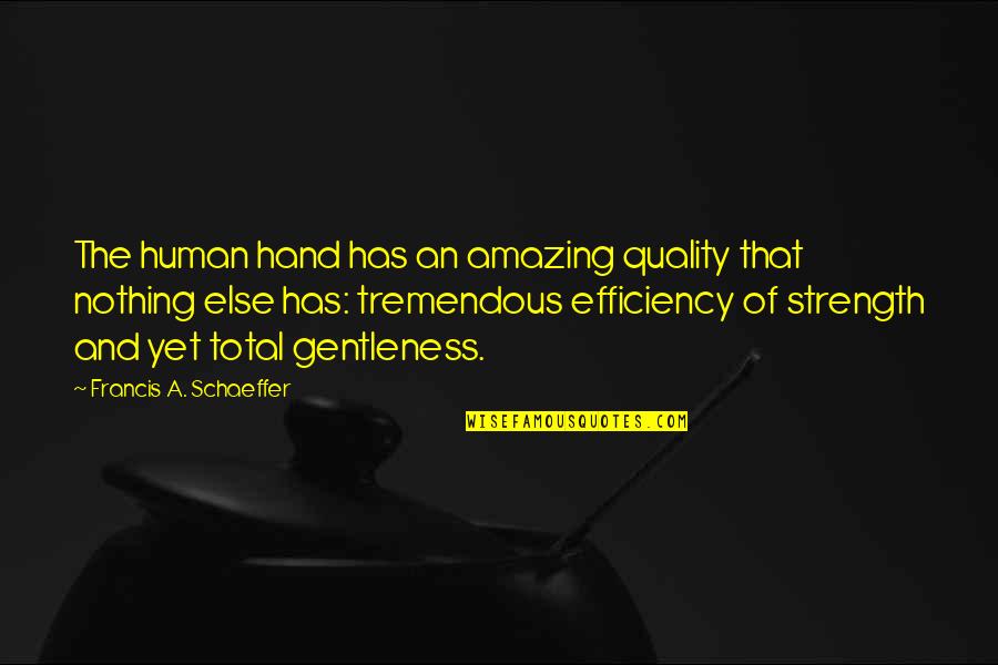 Schaeffer Quotes By Francis A. Schaeffer: The human hand has an amazing quality that