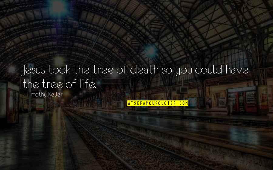 Schaffert Studio Quotes By Timothy Keller: Jesus took the tree of death so you Schaffert Studio Quotes By Timothy Keller: Jesus took the tree of death so you