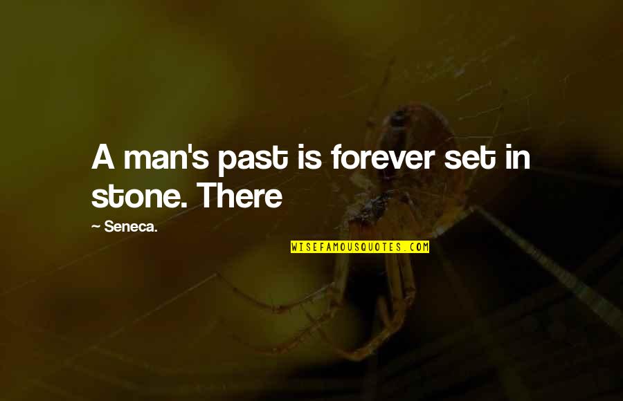 Schaline Quotes By Seneca.: A man's past is forever set in stone.