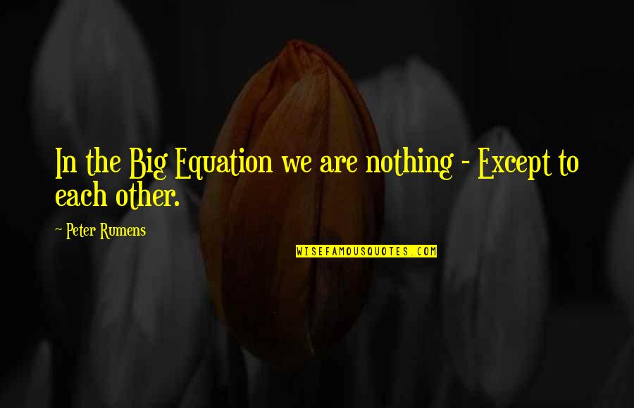 Schallock Center Quotes By Peter Rumens: In the Big Equation we are nothing -