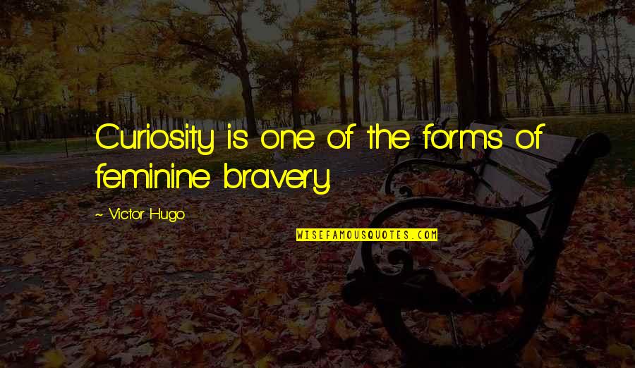 Schanker Hochberg Quotes By Victor Hugo: Curiosity is one of the forms of feminine