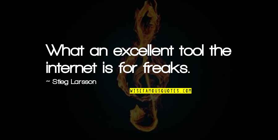 Schatzker Fracture Quotes By Stieg Larsson: What an excellent tool the internet is for