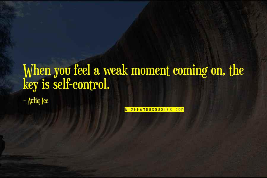 Schauberger Vortex Quotes By Auliq Ice: When you feel a weak moment coming on,