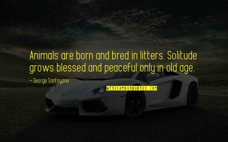 Schauberger Vortex Quotes By George Santayana: Animals are born and bred in litters. Solitude Schauberger Vortex Quotes By George Santayana: Animals are born and bred in litters. Solitude
