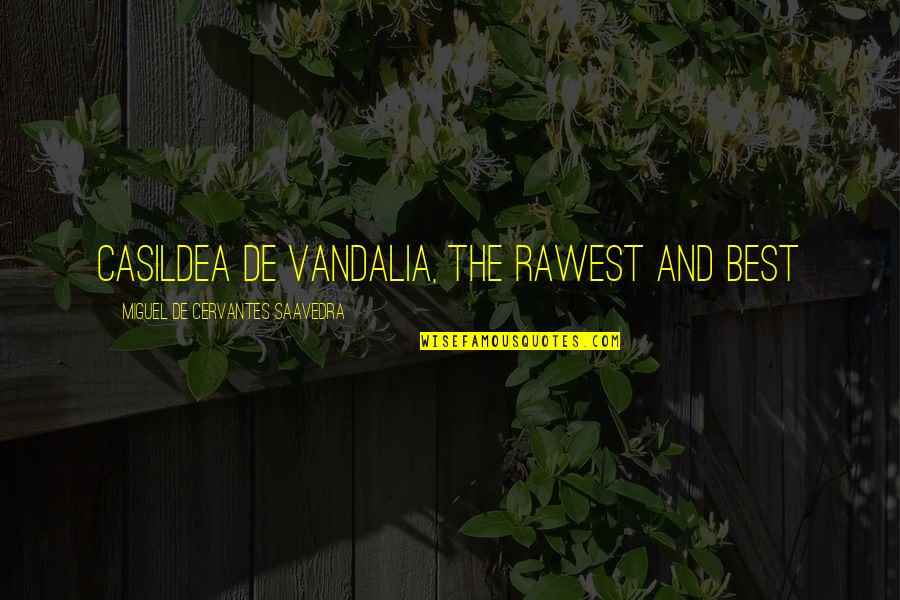 Schauderhoff Quotes By Miguel De Cervantes Saavedra: Casildea de Vandalia, the rawest and best Schauderhoff Quotes By Miguel De Cervantes Saavedra: Casildea de Vandalia, the rawest and best