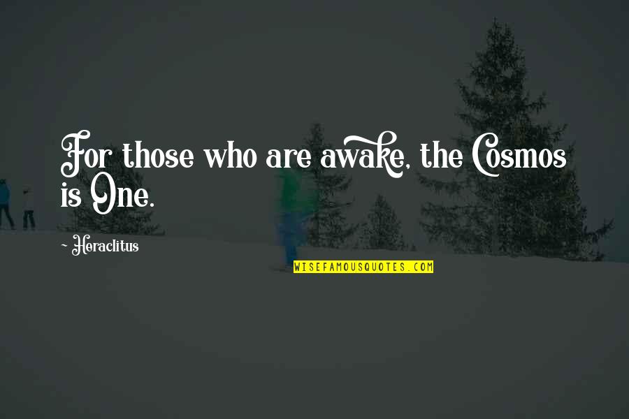 Schauer Group Quotes By Heraclitus: For those who are awake, the Cosmos is Schauer Group Quotes By Heraclitus: For those who are awake, the Cosmos is