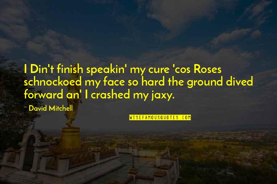 Schaufenfrieglasploit Quotes By David Mitchell: I Din't finish speakin' my cure 'cos Roses