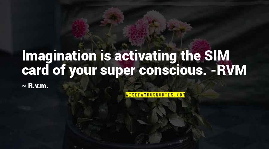 Schaumburg Quotes By R.v.m.: Imagination is activating the SIM card of your