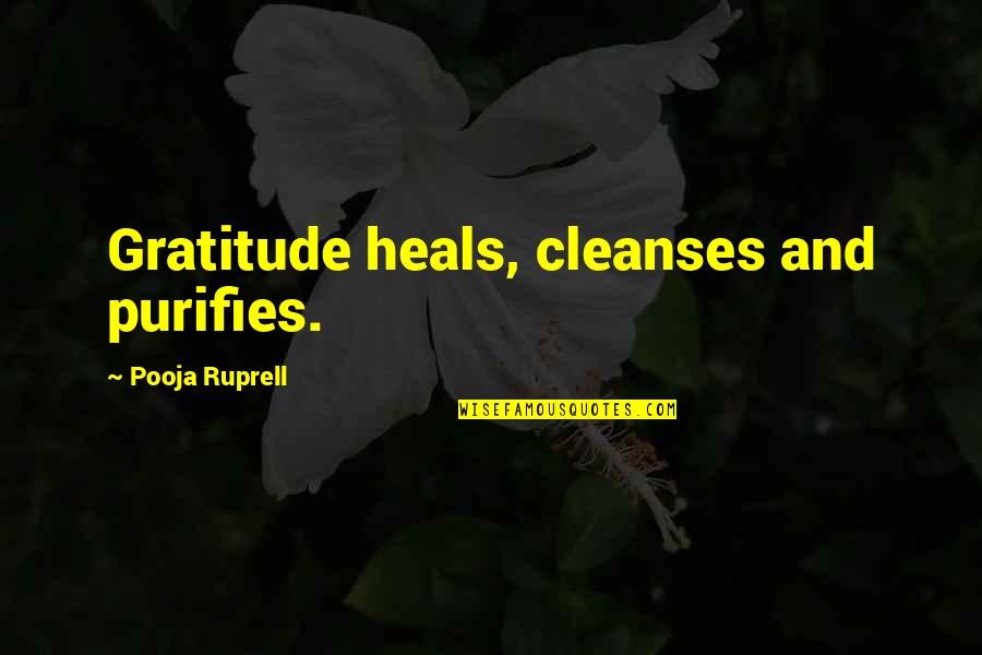 Schectman Auctions Quotes By Pooja Ruprell: Gratitude heals, cleanses and purifies.