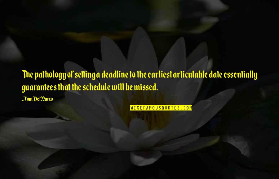 Schedules Quotes By Tom DeMarco: The pathology of setting a deadline to the Schedules Quotes By Tom DeMarco: The pathology of setting a deadline to the