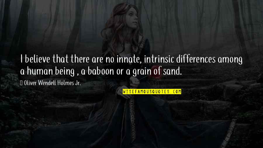 Schefers Quotes By Oliver Wendell Holmes Jr.: I believe that there are no innate, intrinsic