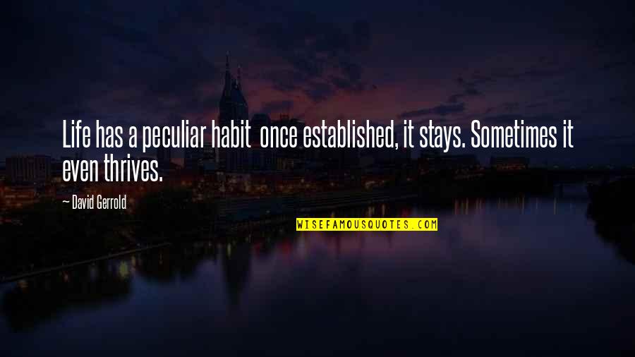 Scheibel Brennerei Quotes By David Gerrold: Life has a peculiar habit once established, it