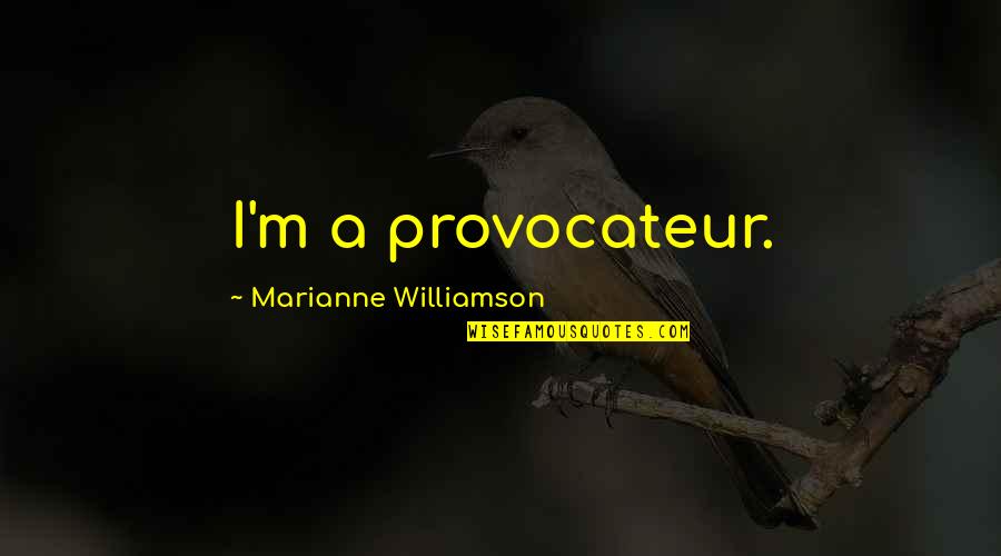 Scheidemann Agency Quotes By Marianne Williamson: I'm a provocateur.