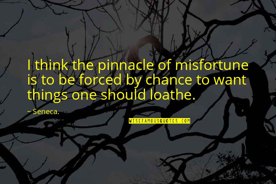 Scheldeman Ardooie Quotes By Seneca.: I think the pinnacle of misfortune is to