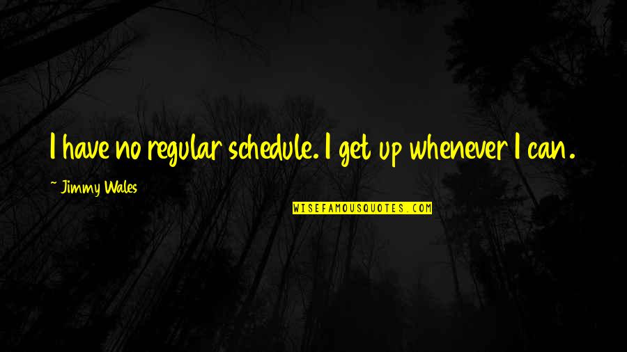 Schena Music Video Quotes By Jimmy Wales: I have no regular schedule. I get up