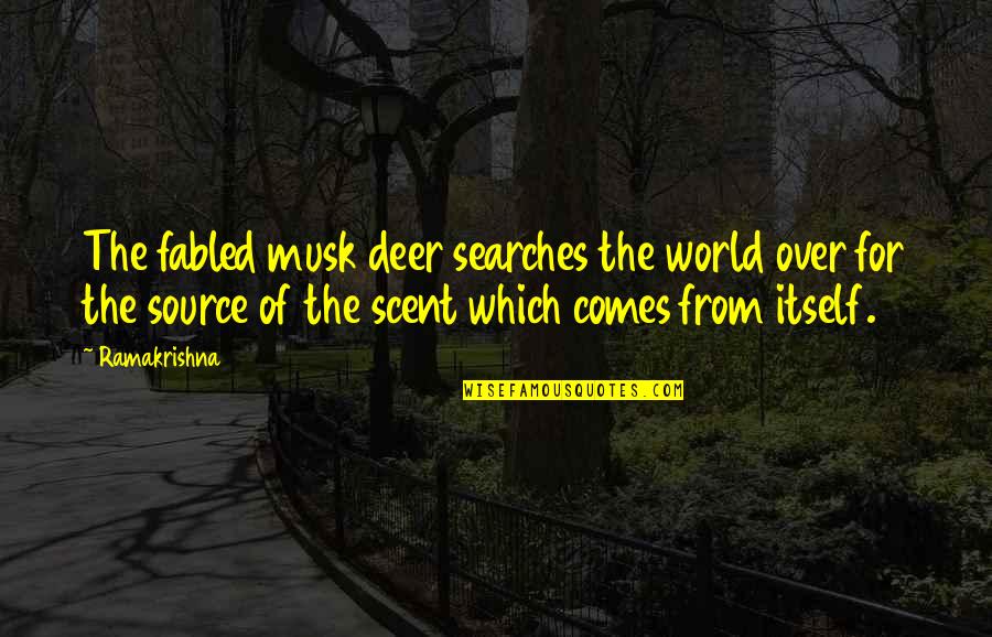 Scherini Annapolis Quotes By Ramakrishna: The fabled musk deer searches the world over Scherini Annapolis Quotes By Ramakrishna: The fabled musk deer searches the world over