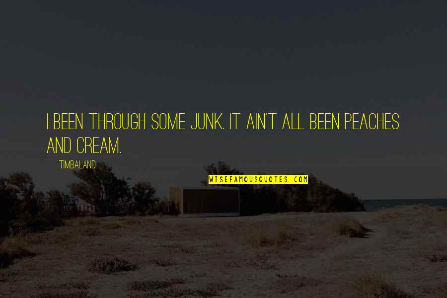 Schermo Nero Quotes By Timbaland: I been through some junk. It ain't all