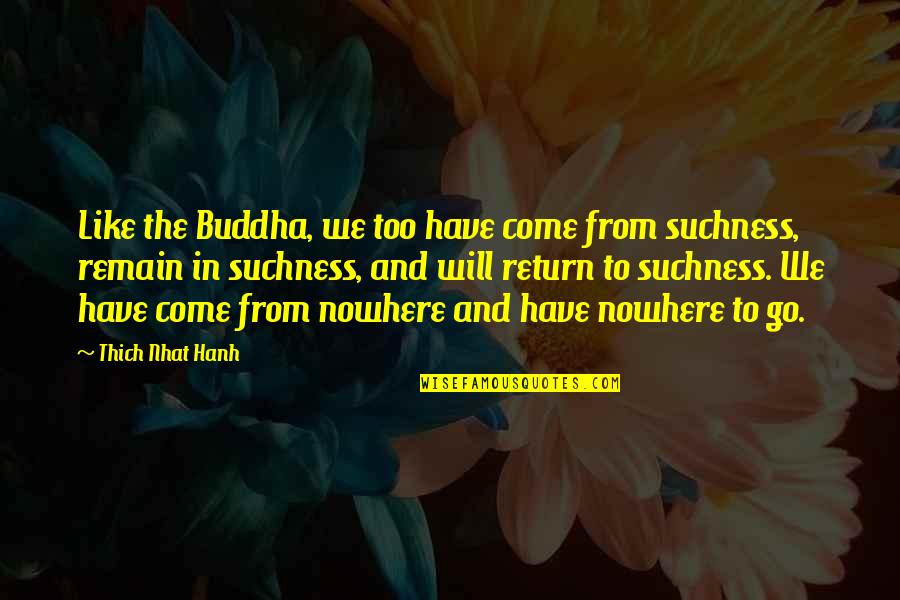 Scherven Engels Quotes By Thich Nhat Hanh: Like the Buddha, we too have come from