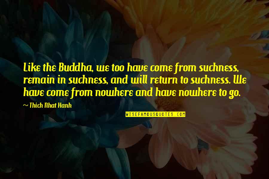Scherven Engels Quotes By Thich Nhat Hanh: Like the Buddha, we too have come from Scherven Engels Quotes By Thich Nhat Hanh: Like the Buddha, we too have come from