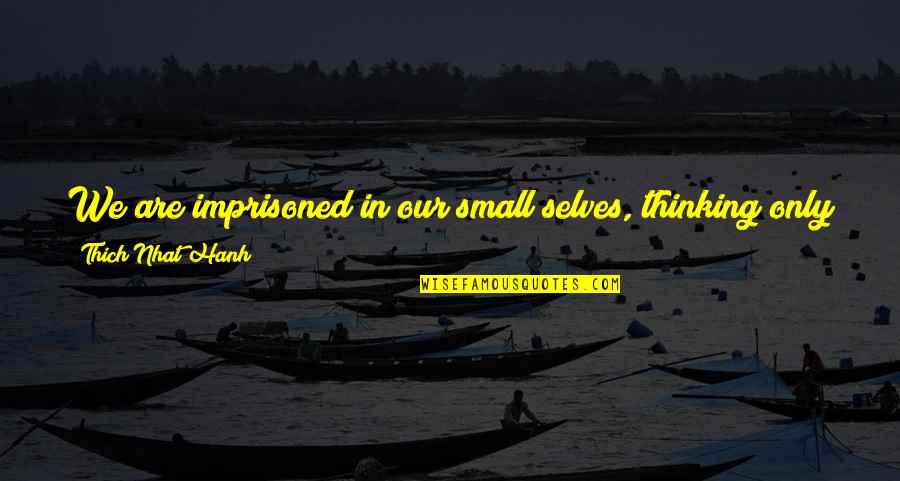 Scherwat Donald Quotes By Thich Nhat Hanh: We are imprisoned in our small selves, thinking Scherwat Donald Quotes By Thich Nhat Hanh: We are imprisoned in our small selves, thinking
