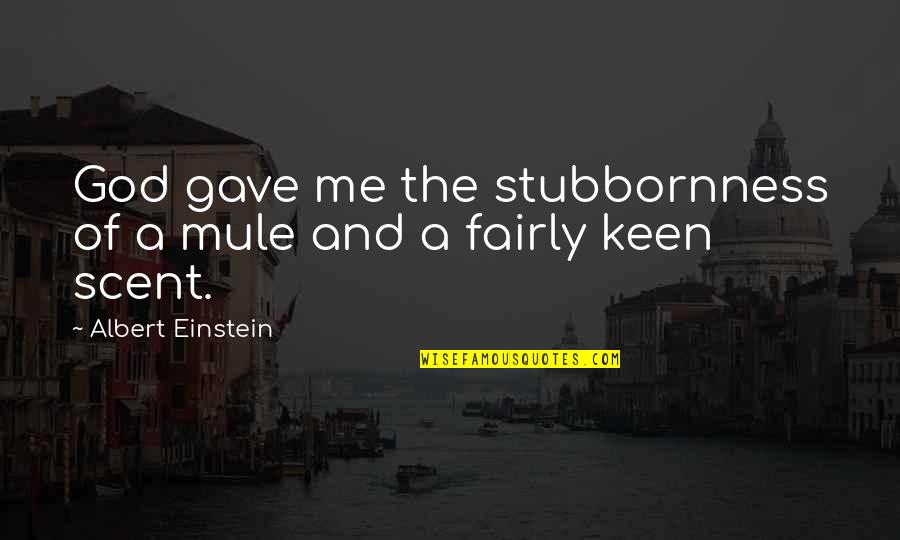 Scheucher Flooring Quotes By Albert Einstein: God gave me the stubbornness of a mule