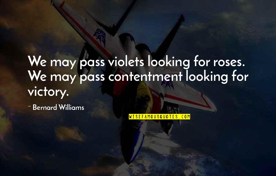 Schicker Dodge Quotes By Bernard Williams: We may pass violets looking for roses. We Schicker Dodge Quotes By Bernard Williams: We may pass violets looking for roses. We