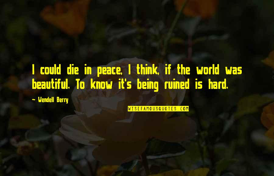 Schildberg Quarry Quotes By Wendell Berry: I could die in peace, I think, if Schildberg Quarry Quotes By Wendell Berry: I could die in peace, I think, if